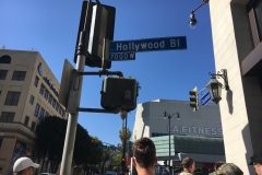 LA-Hollywood-Blvd