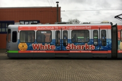 Bahn-3